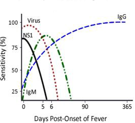 Secondary dengue infection